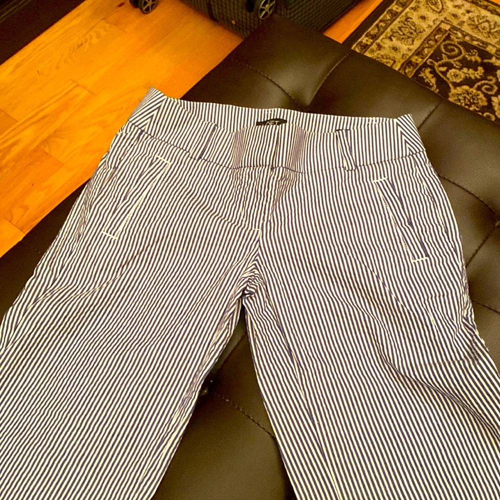 Loft pants